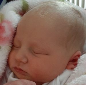 Meet your Posher, Muriel